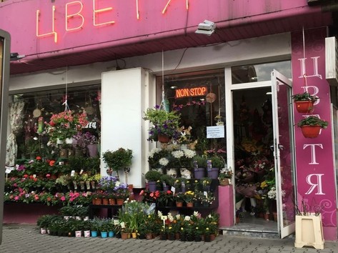 Zdravec - Flowers shop